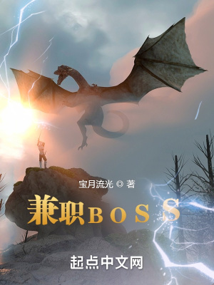  兼职BOSS